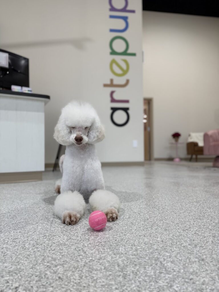 artepupp pet grooming co.