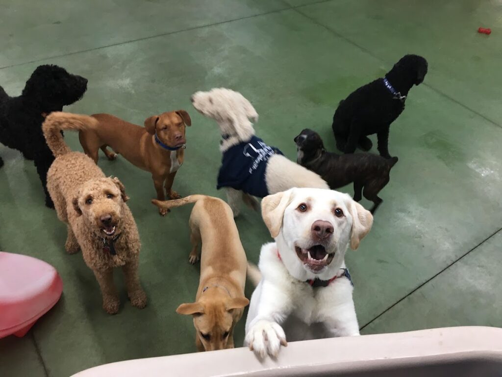 Barks on Bourbon