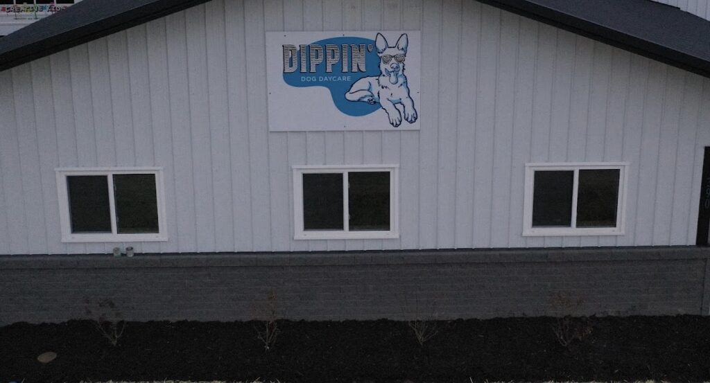 Dippin’ Dog Daycare