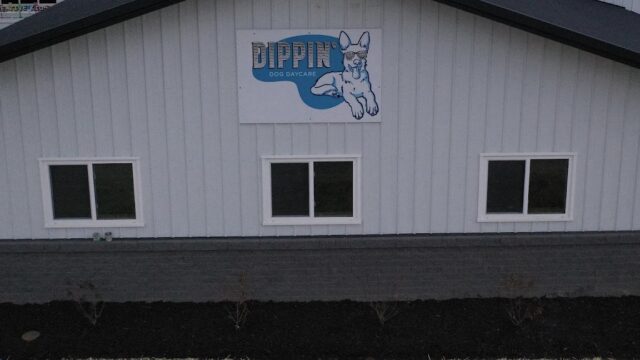 Dippin’ Dog Daycare