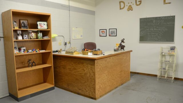 Dog Lovers Grooming Salon