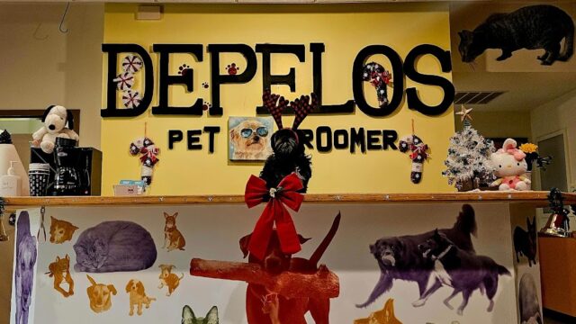 D’Pelos Pet Groomer
