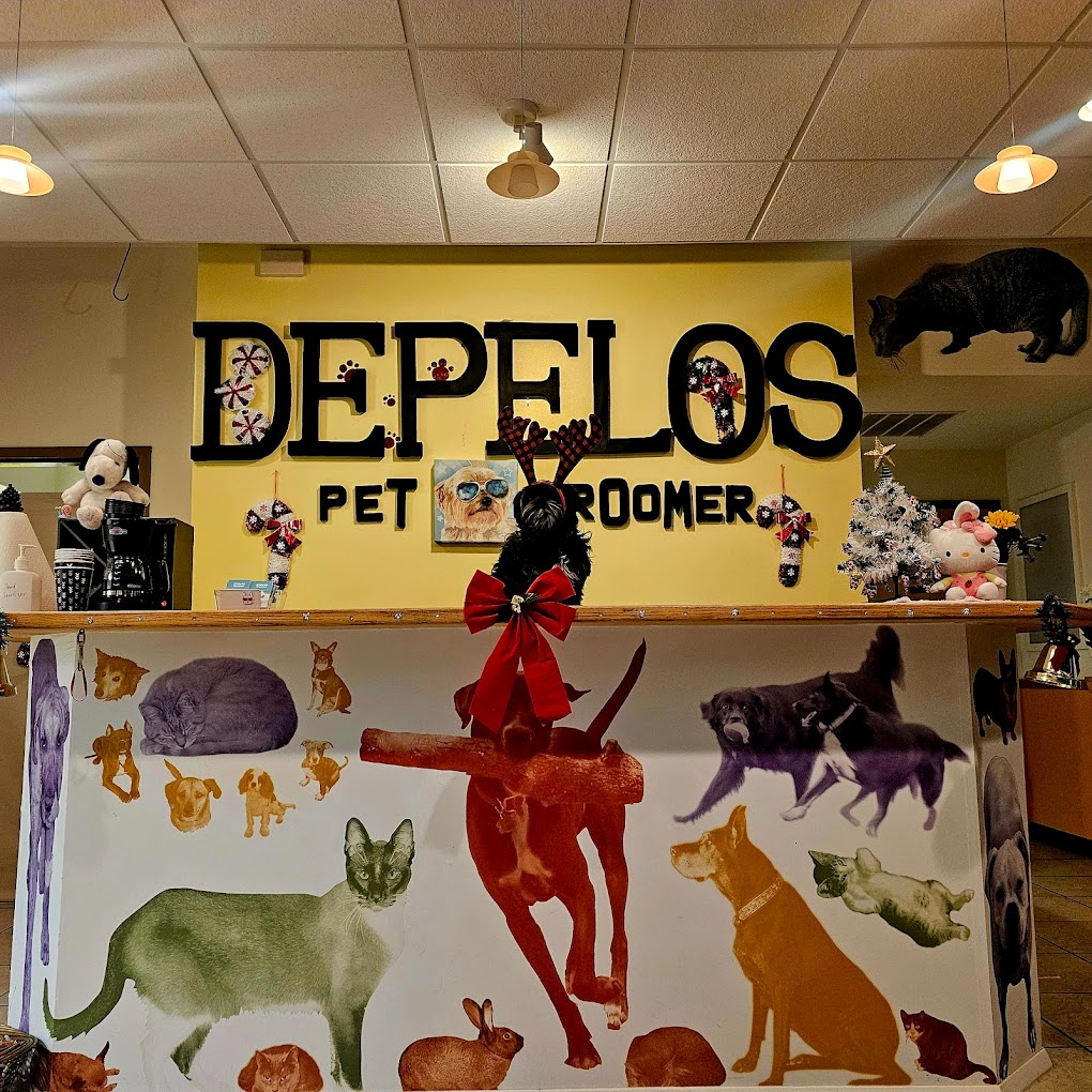 D’Pelos Pet Groomer