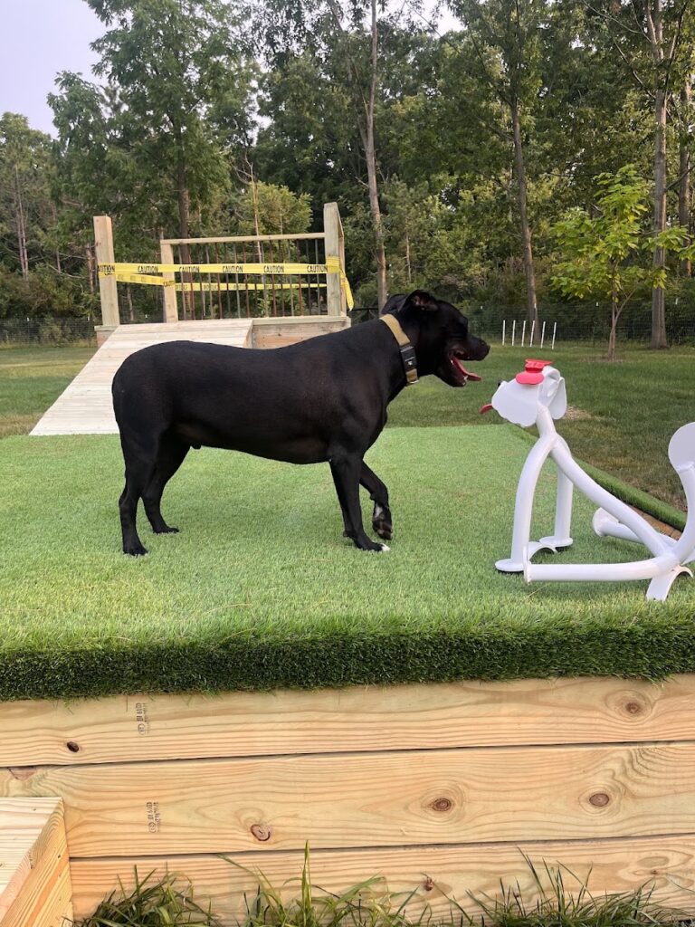 Good Dog Unleashed Private Park
