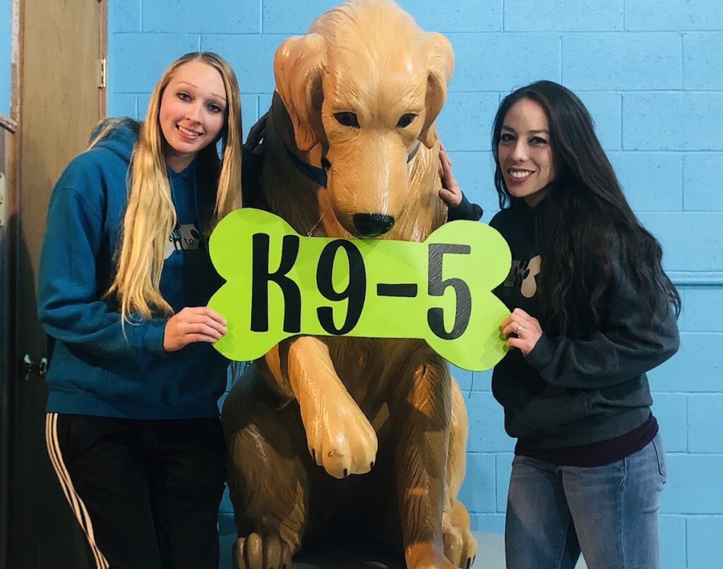 K9-5 Dog Daycare