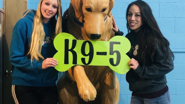 K9-5 Dog Daycare