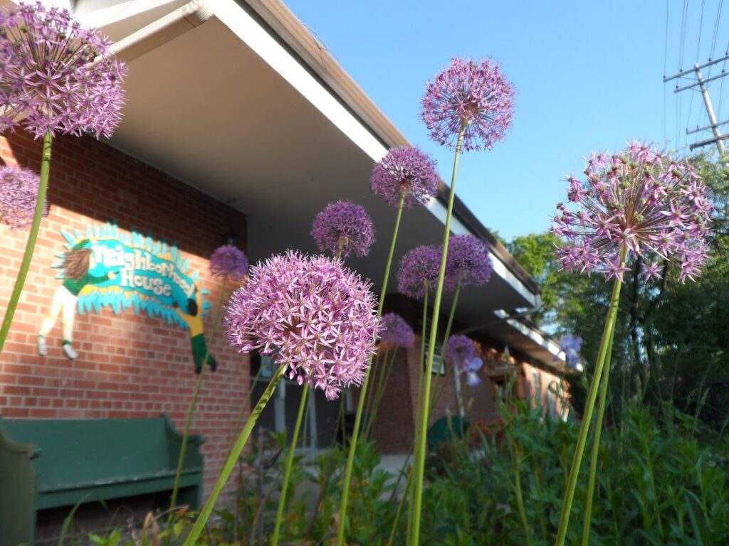 Neighborhood House Community Center