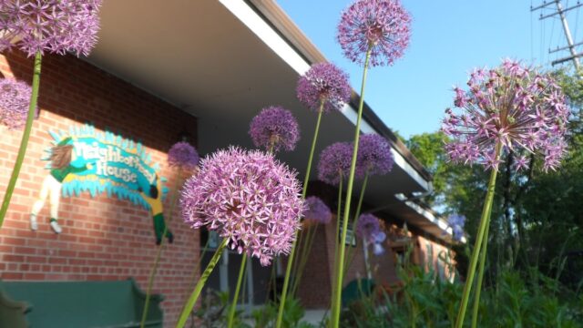 Neighborhood House Community Center
