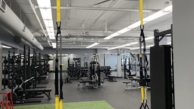 Peter Kraus Fitness