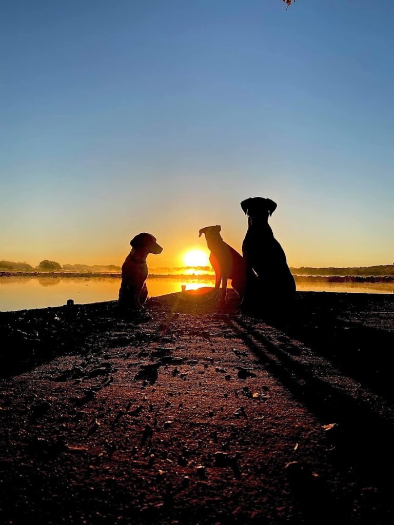 River Paws
