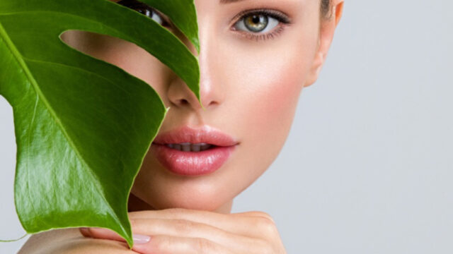 Santa Fe Massage & Wellness