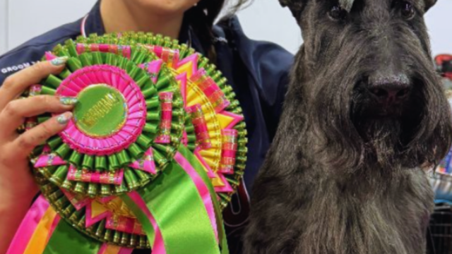 Serenity Pet Spa East | Dog Grooming Madison