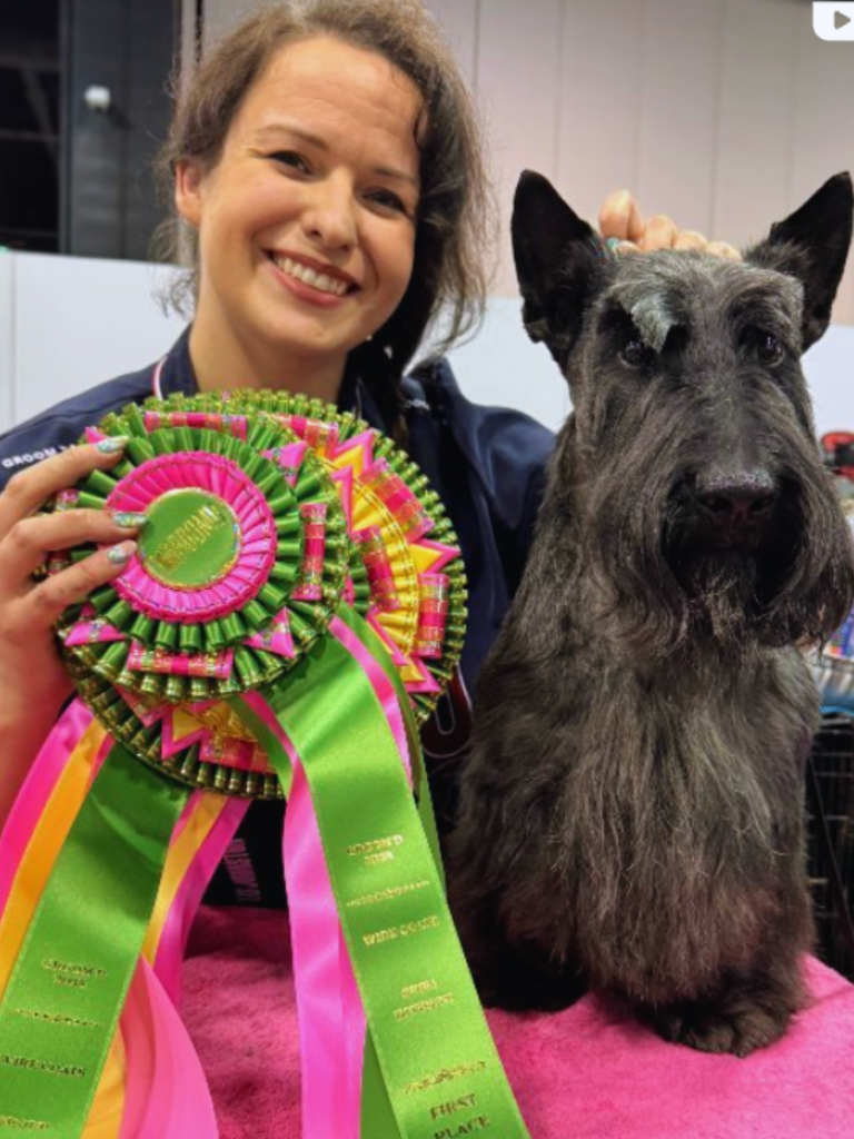 Serenity Pet Spa East | Dog Grooming Madison