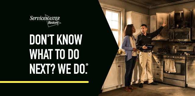 ServiceMaster DSI – Madison
