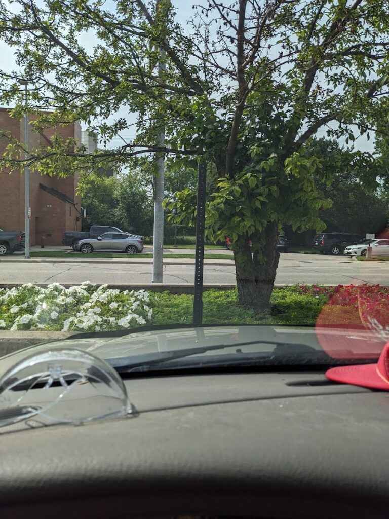 UW Transportation Services